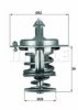 BEHR TX 71 82D Thermostat, coolant